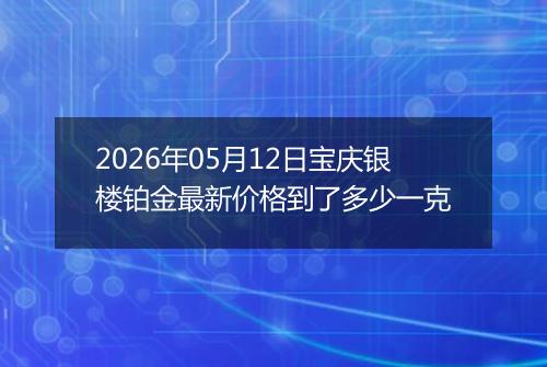 2026年05月12日宝庆银楼铂金最新价格到了多少一克