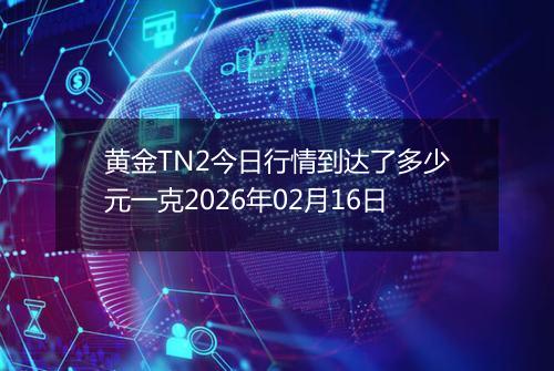 黄金TN2今日行情到达了多少元一克2026年02月16日